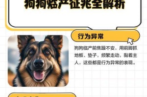 狗狗生产过程中呼吸急促发抖的原因与时长解析（了解狗狗生产过程中呼吸急促发抖的情况及应对措施）