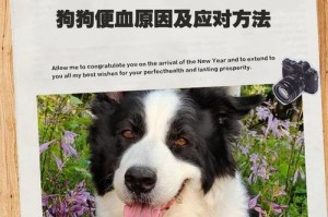 狗狗胃扭转的危害及预防措施（了解狗狗胃扭转的原因，从预防做起）