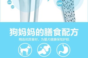 狗狗产后营养调理指南（下奶的关键饮食和照顾技巧）