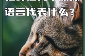 猫猫叫的含义和解读（揭开猫猫叫背后的语言密码）