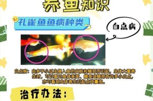 如何养好孔雀鱼？（饲养孔雀鱼需注意的五个要点）
