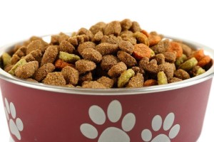 泰迪怀孕40天的饮食调理指南（孕妇泰迪的合理饮食保健，为宝宝健康成长奠定基础）