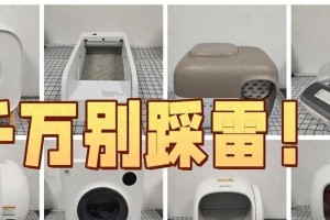 猫砂的合理摆放位置（为你的猫咪选择一个适宜的猫砂摆放位置）