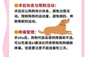狗狗绝育手术后需要的照顾时间有多长？（详细了解狗狗绝育手术后的照顾需求及时间安排）