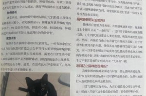 猫骨折自愈所需时间有多长？（了解猫骨折自愈的时间表以及关键要素）