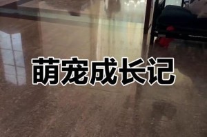 博美犬的毛发修剪频率及注意事项（了解博美犬毛发修剪的时间间隔和技巧，打造迷人毛发亮丽外观）