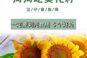 狗狗的营养补充（以狗狗吃什么能补充营养为中心的指南）