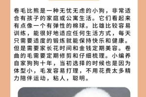 卷毛比熊的魅力与特点（为什么卷毛比熊成为宠物界的宠儿？）