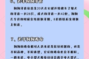 狗狗冷知识揭秘（揭开狗狗世界的神秘面纱，助你更好地养狗！）