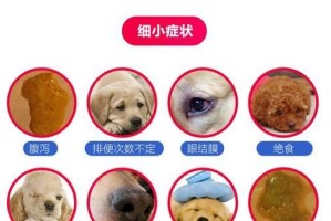了解狗狗的犬瘟细小（保护你的爱犬，从了解犬瘟细小开始）