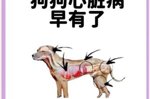 狗狗心衰能活多久？（了解心衰的关键因素和治疗方式）