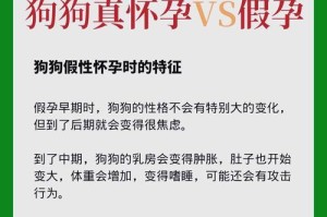 狗狗怀孕期间的一切（从受孕到分娩，详细解析狗狗的怀孕过程）