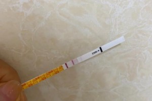 兔子孕育后的体征与行为变化（兔子怀孕十天后的反应及）