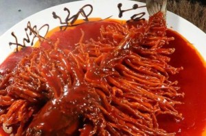 金毛犬的健康饮食之菜肴搭配（为你的金毛犬提供营养均衡的菜肴，关爱它的健康）
