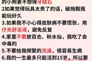 有效方法去除狗狗牙结石（保护宠物口腔健康，关键在于这一招！）