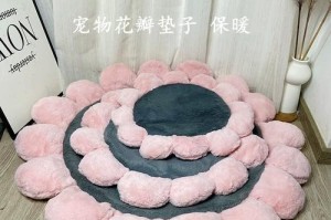 选择合适的泰迪窝（关注泰迪的生活品质，选对窝是关键）
