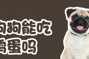 狗吃鸡蛋，补充全面营养（狗的营养需求、鸡蛋的营养价值与使用方法详解）