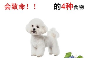 狗可以吃哪些水果？（了解适合狗食用的水果种类和注意事项）