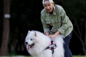 夏季萨摩灭蚤全攻略（宠物爱犬的健康护航）