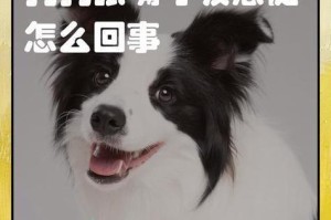 狗狗喘气的原因及应对方法（了解狗狗喘气的原因，保障它们的健康）