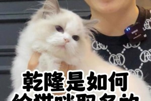 世界上最有趣的猫的名字（以猫为主题的各种有趣名字及其背后的故事）