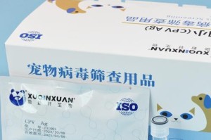 犬瘟试纸检测时间和准确性分析（提升犬瘟检测速度，保障宠物健康）