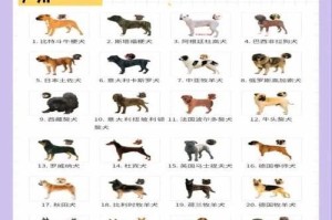 狗狗养多久才能认主人？（以时间为标准，你的狗狗何时会将你视为主人？）