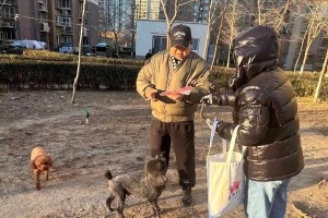 宠物狗的活动之乐趣无限（探索狗狗世界的奇妙活动）