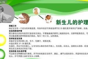 如何做好新生犬的护理