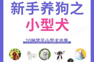 全球各地独特的狗品种（探索不同文化背景下的狗狗之美）