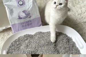 猫砂正确使用方法（让你的爱宠生活更健康）