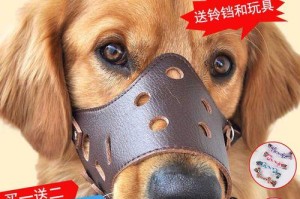 当金毛狂食不止，怎么应对？