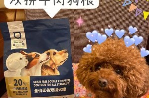 泰迪犬的打嗝现象及原因解析（探索泰迪犬为何也会出现打嗝情况）