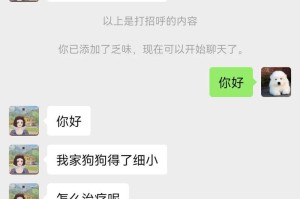 比熊患细小的治疗期长？（细小治疗的关键措施和注意事项）