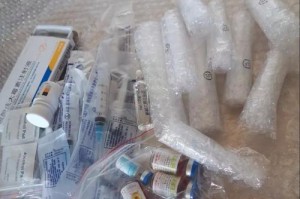 宠物血清的应用及治疗效果探究（解析宠物血清在疾病治疗中的关键作用和潜力）