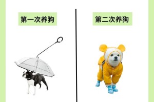 准备养狗的基本条件（第一次养狗需要了解的关键条件）