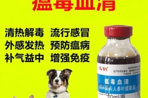 如何治疗狗的感冒？（选择合适的药物来帮助你的宠物恢复健康）