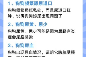 狗狗尿频可能的泌尿系统问题（了解狗狗尿频的原因及解决方法）