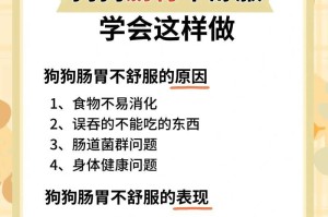 怎么处理狗狗吃多了呕吐问题（解决狗狗吃多呕吐的方法和注意事项）