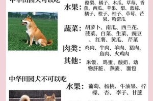 狗狗听懂自己的名字需要多长时间？（探讨狗狗学习和理解自己名字的过程及时间需求）