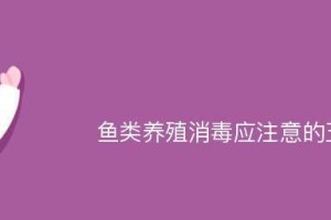 新买的鱼应该注意什么？（养鱼初学者必读，鱼类保健小贴士！）