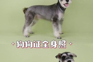 狗狗防疫证（了解狗狗防疫证的重要性和功能，让我们守护爱宠的健康）