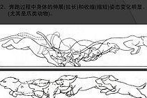 狗狗训练的关键要素（从宠物的角度出发，打造听话懂事的小伙伴）