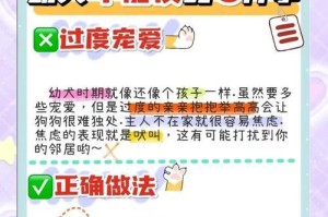纠正幼犬的6个坏习惯（从幼犬培养开始，让宠物更听话）