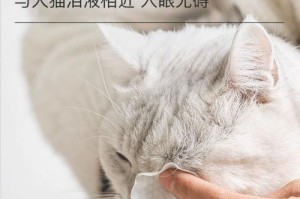狗狗眼药水初次使用指南（了解狗狗眼药水的使用方法和注意事项）