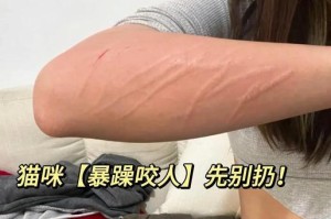 为什么我的猫边呼噜边咬我？（探究猫咬人的原因及解决方法）
