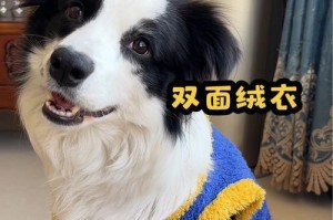 狗为什么要穿衣服？（了解宠物衣着的重要性和好处）