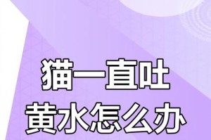 猫咪为什么会呕吐黄水？（探究导致猫咪呕吐黄水的原因）