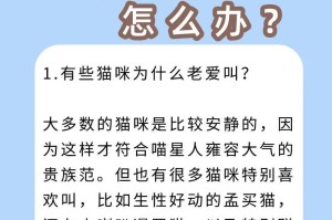 小猫为什么一直在叫？（探寻小猫持续叫喊的原因）