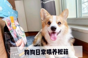 幼犬何时开始以狗粮为主食？（探讨幼犬开始进食狗粮的最佳时机）